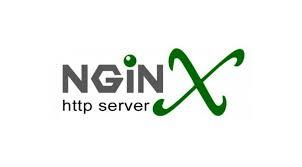 在 Linux 系统中如何使用 yum 安装 nginx？